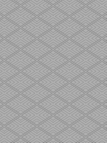 Meta 1540 Grey Area Rug