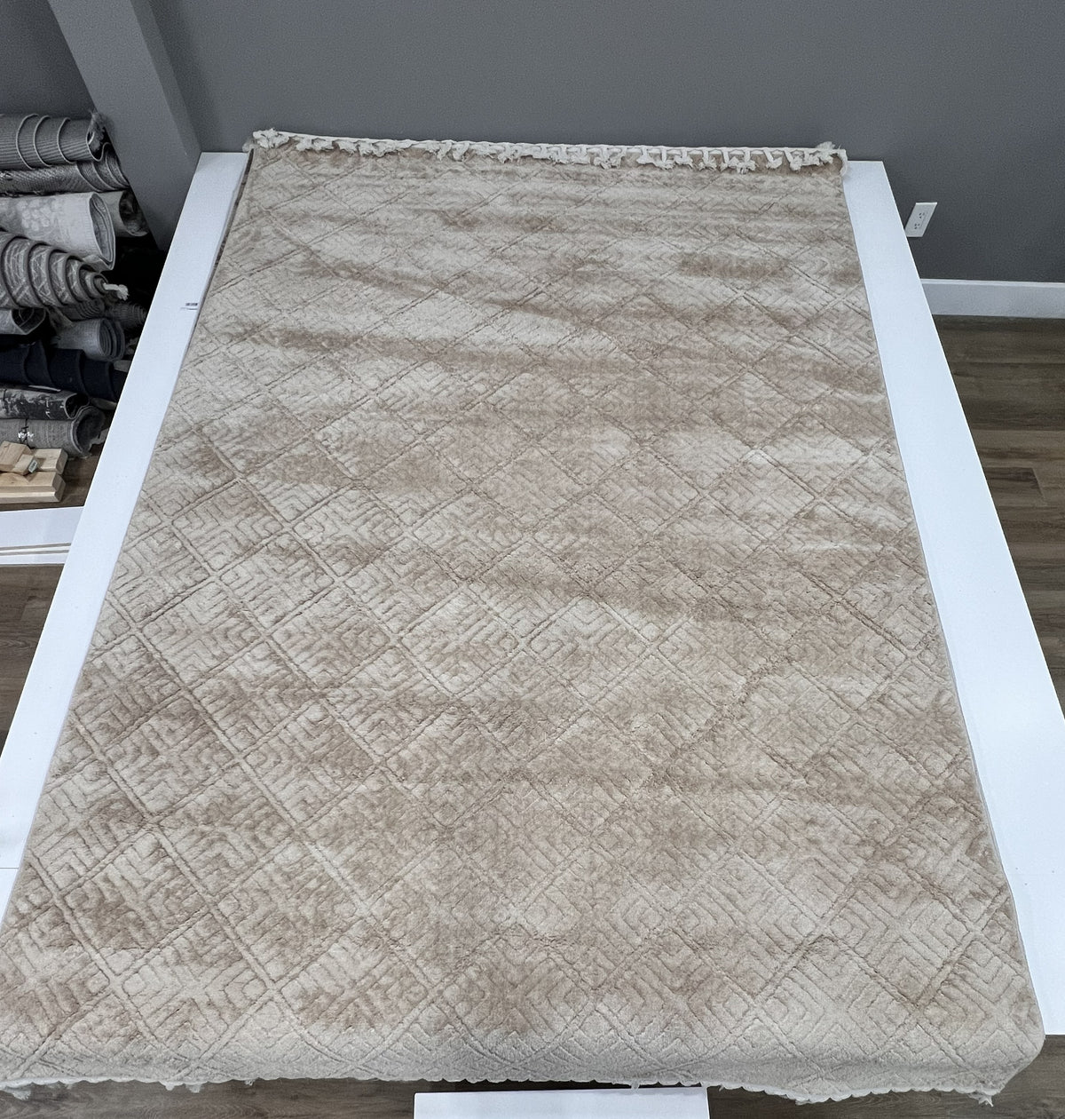 Meta 1549 Beige Area Rug