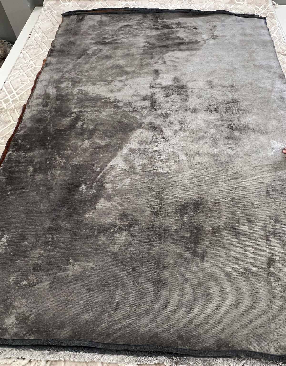Palermo 5403 Grey Area Rug