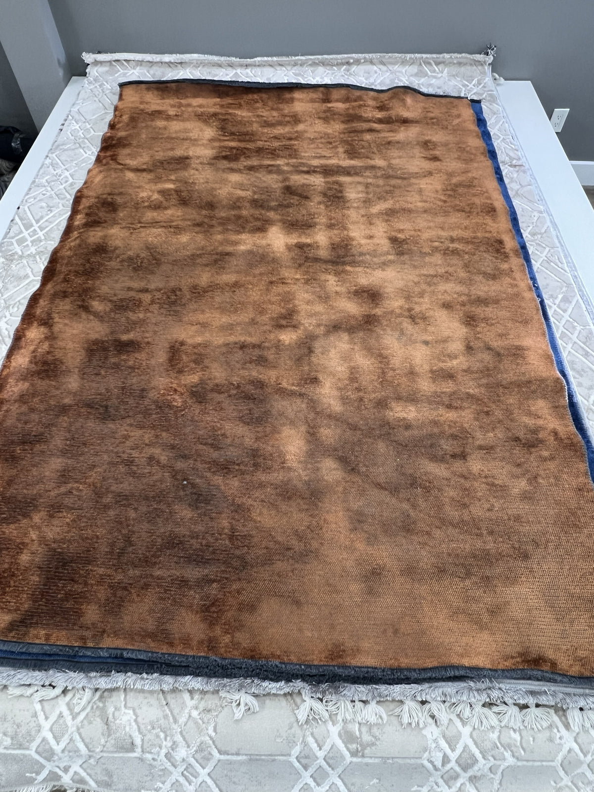 Palermo 5406 Terra Area Rug