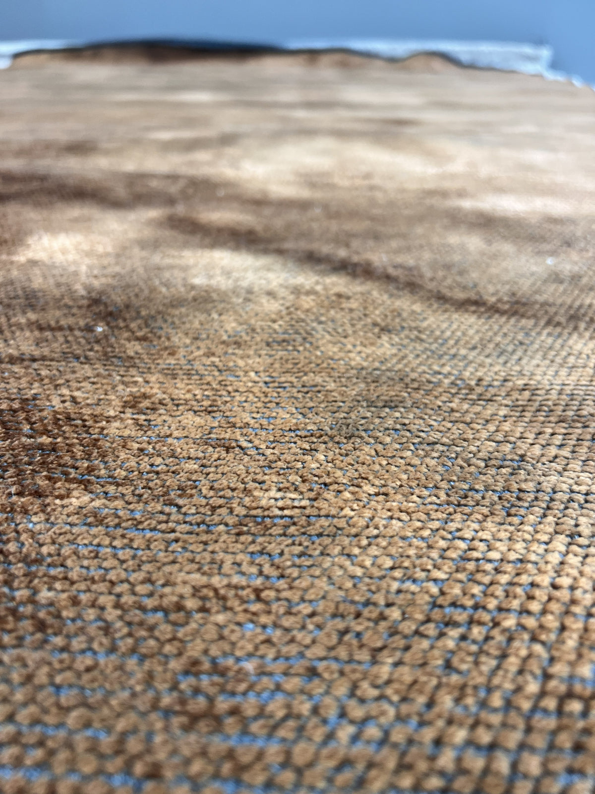 Palermo 5406 Terra Area Rug
