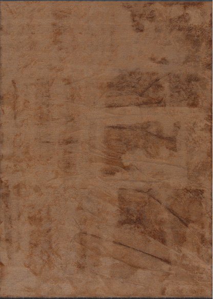 Palermo 5406 Terra Area Rug